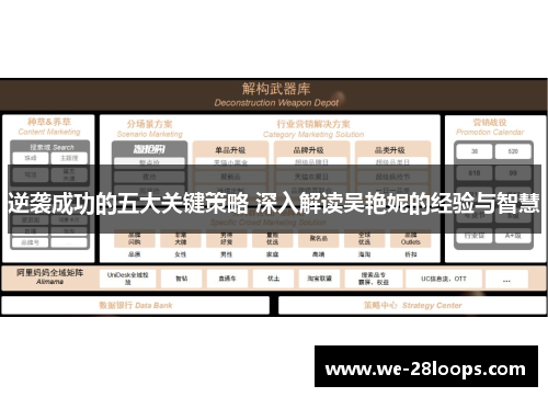 逆袭成功的五大关键策略 深入解读吴艳妮的经验与智慧