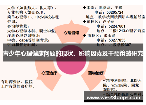 青少年心理健康问题的现状、影响因素及干预策略研究 青少年心理健康问题的现状、影响因素及干预策略研究