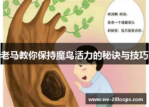老马教你保持魔鸟活力的秘诀与技巧 老马教你保持魔鸟活力的秘诀与技巧
