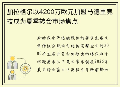 加拉格尔以4200万欧元加盟马德里竞技成为夏季转会市场焦点